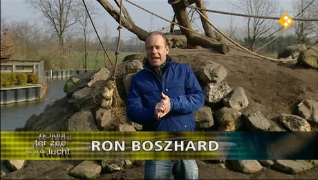 Te land, ter zee en in de lucht